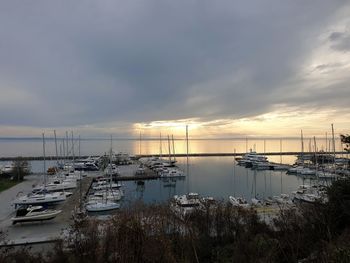 Sailboats in marina at sunset