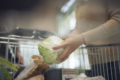 Woman's hands putting juice iceberg lettuce into shopping trolley