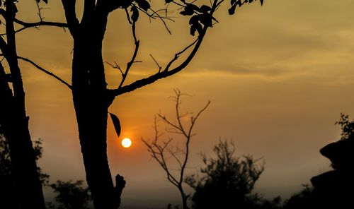 Silhouette bare tree against sky at sunset