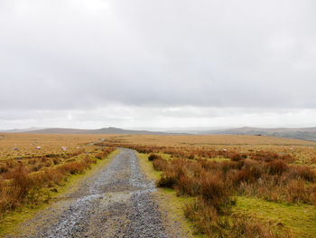 Sratocumulus clouds lighting a part of the grassy moors of dartmoor. devon, united kingdom.