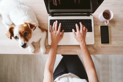 Midsection of woman with dog at home