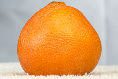 Close-up of orange