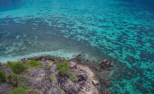 High angle view of sea shore
