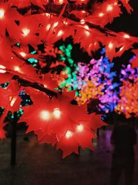 Close-up of illuminated lights hanging from tree
