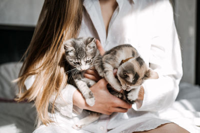 Cat adoption, adopt kitten from rescues and shelters. portrait of woman playing with two outbred