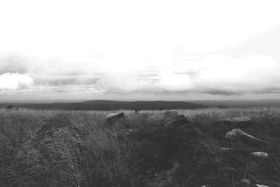 Scenic view of land against sky