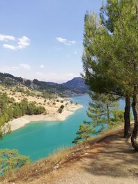 Scenic view of lake by trees against sky