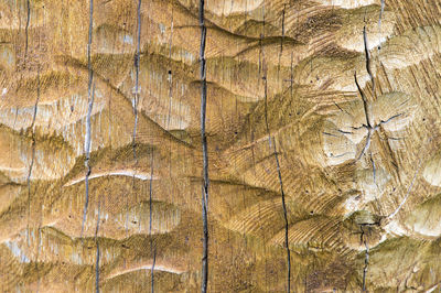 Full frame shot of cracked wood