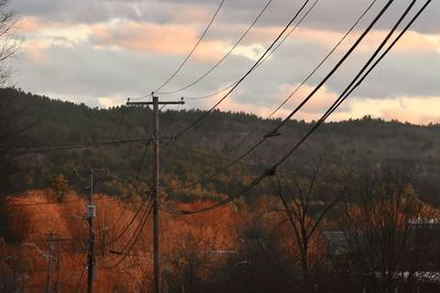 Plants growing on land against sky during sunset