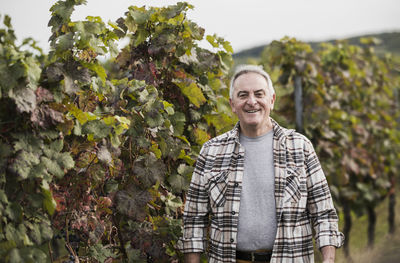Happy farmer in checked shirt standing by grape plant