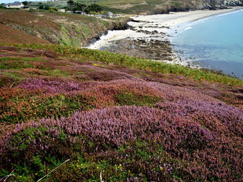 Scenic view of sea