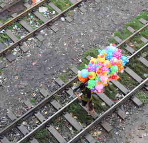 High angle view of flowers