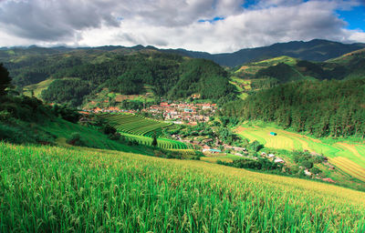 Scenic view of agricultural field against sky