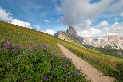 Scenic view of grassy field against cloudy sky