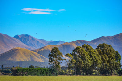 Scenic view of landscape and mountains against blue sky