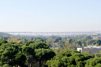 Trees and plants growing in forest against clear sky