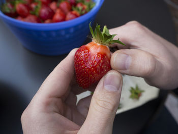 Close-up of hand holding strawberries