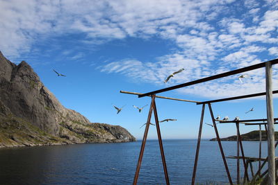 Birds flying over lake against sky