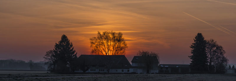 Silhouette trees and buildings against sky during sunset
