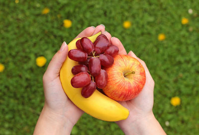 Cropped image of hand holding fruit on field