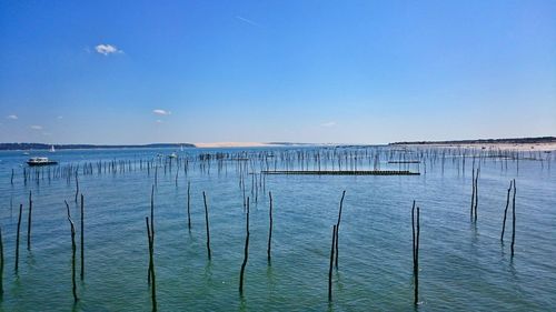 Scenic view of sea against blue sky