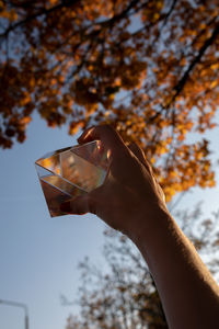 Low angle view of hand holding glass against sky