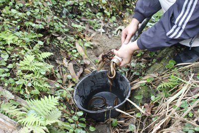 Low section of person putting eels in bucket on field