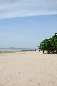 Scenic view of beach against blue sky