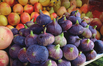 Pile of deep purple color fresh ripe figs for sale at the market