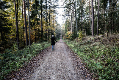 Rear view of man walking on road amidst trees in forest