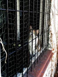 View of chainlink fence
