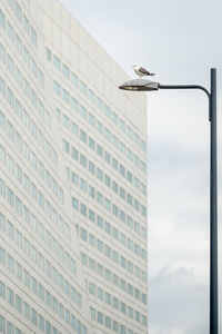 Low angle view of bird perching on cable