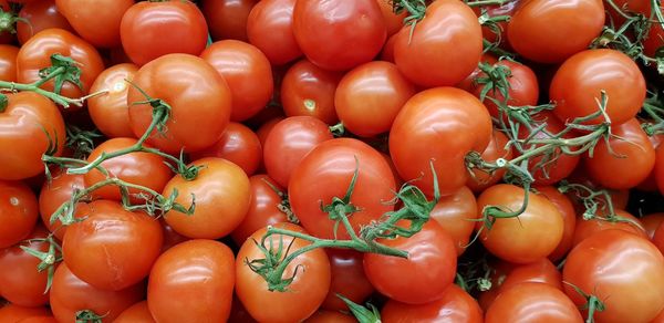 Full frame shot of tomatoes