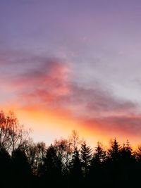 Low angle view of silhouette trees against sky during sunset