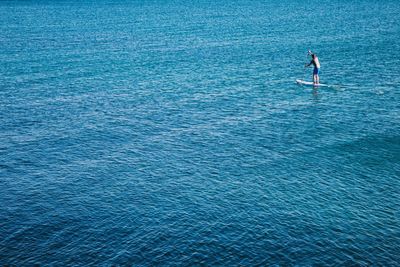 Man paddle boarding on sea