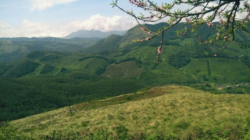 Landscape with mountain range in background