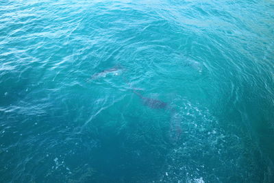 High angle view of a sea