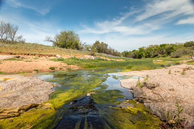 Scenic view of stream amidst trees against sky