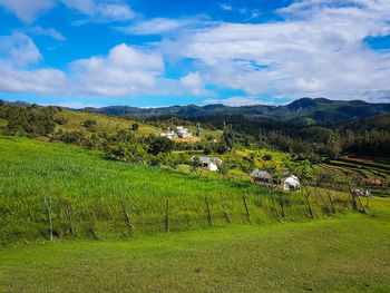 Scenic view of field against sky