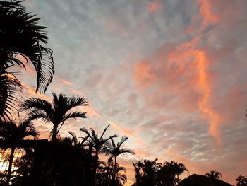 Low angle view of silhouette palm trees against dramatic sky