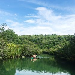 Scenic view of river amidst trees against sky