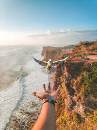 Sitting on a cliff watching the rush of those beautiful waves and playing with birds. 