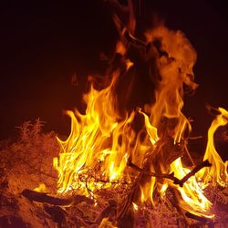 Close-up of bonfire at night