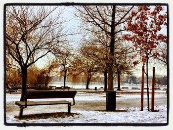 Empty bench in park