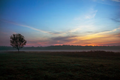 Scenic view of field against sky during sunset