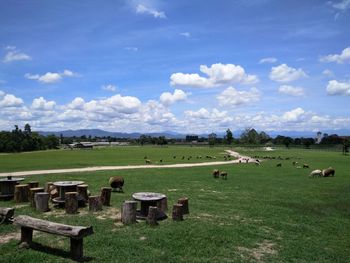 Scenic view of agricultural landscape against sky