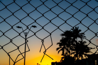 Grid silhouette, wire trees and pole against yellow and blue sunset. 