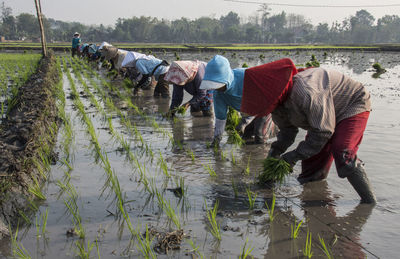 Group of people working in water