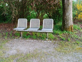 Empty bench in park