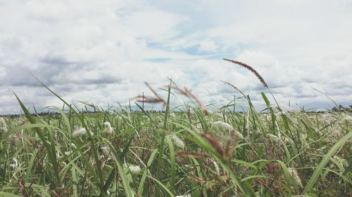 View of field against cloudy sky